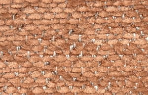 Formica-24 Keten Kuma�