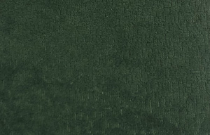 Icon-10 Pati Dostu Kuma