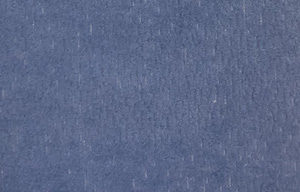 Icon-12 Pati Dostu Kuma