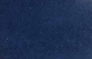 Icon-13 Pati Dostu Kuma