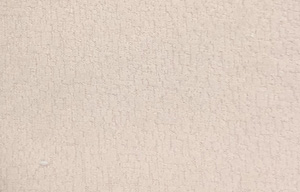 Icon-14 Pati Dostu Kuma