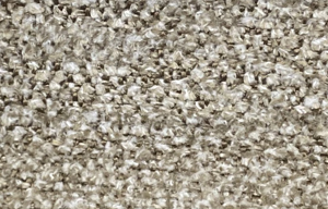 Monte-4803 Dokuma Kuma�