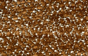 Monte-4802 Dokuma Kuma�