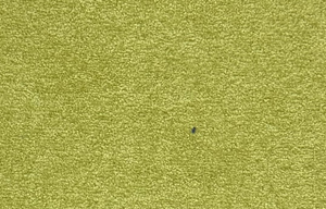 Gala 21 Pati Dostu Kuma�