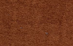 Gala 13 Pati Dostu Kuma�