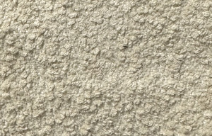 Ponpon-10 Dokuma Kuma�