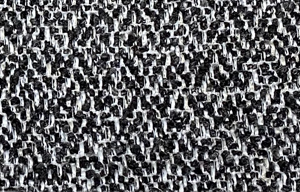 Persian-23115 Yumuak Dokulu Kuma